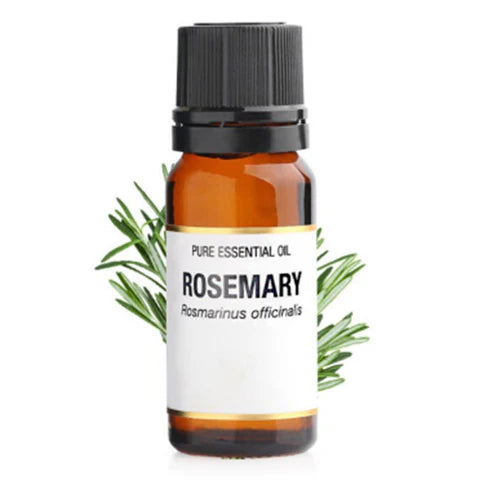 Pure Rosemary Essential Oil